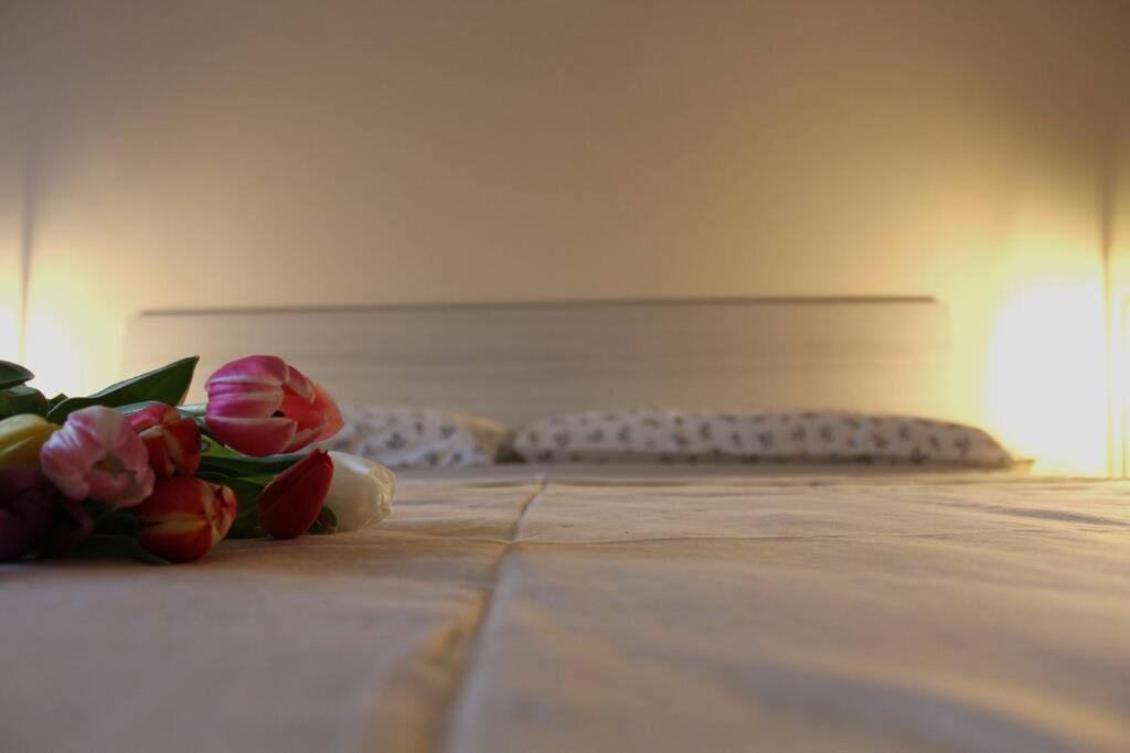Venere Apartamento